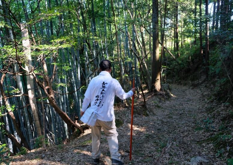 Pilgrim walking a forest trail, Shikoku